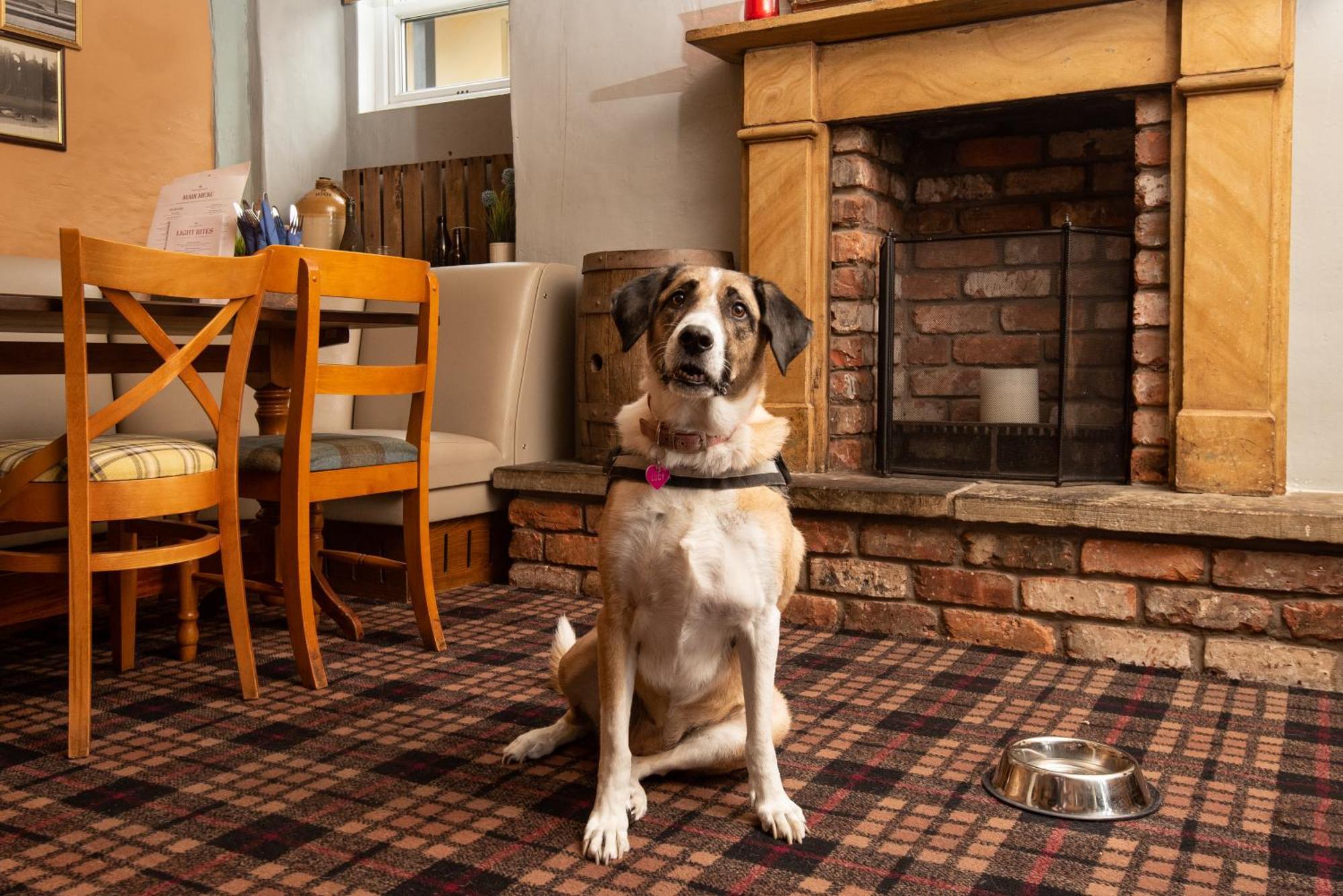 The Lindisfarne Inn - The Inn Collection Group Beal エクステリア 写真